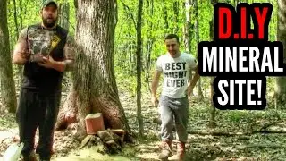 How To Make A DEER MINERAL Site!