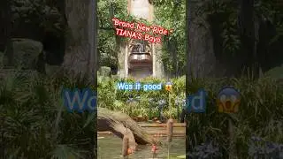 Tiana's Bayou #disney #newdisney #rides #waterslide #disney