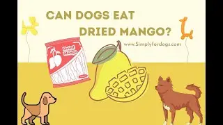 Can Dogs Eat Dried Mango?