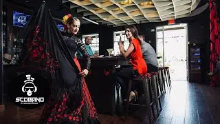 Tapa Toro-  Un Pedacito de Espa&ntilde;a en Orlando Florida -SCOBANO 809