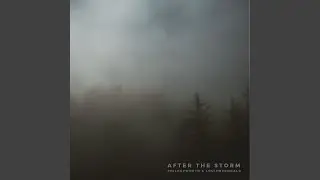 After the Storm