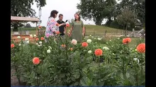 Dahliatuin t Loo zorgt voor Bloemengroetboeket