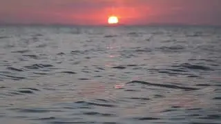 Beautiful relaxing SPA Music nature- DEEP SLEEP MUSIC FOR STRESS RELIEF, MEDITATION, FALL ASLEEP.