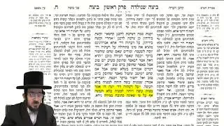 ירושלמי מסכת ביצה דף ח באידיש
