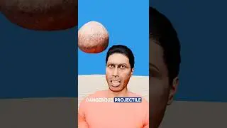 Falling Coconut More Deadly Than Sharks? 😳