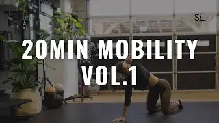 20min Full Body Mobility and Stretching Routine to follow along