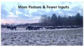 Low Input Soil Health and Forage Production