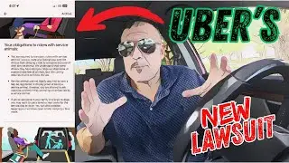 Иск Uber о животных-поводырях: что нужно знать каждому водителю