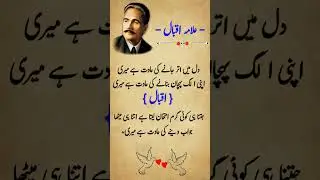 Dil Mein Utar Jaane Ki Aadat Hai Meri ❤️ #urdunovels #mirzaghalib #newmushayra #poetrylovers