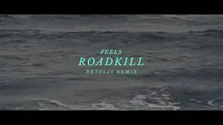 Feels - Roadkill (Detalji Remix)