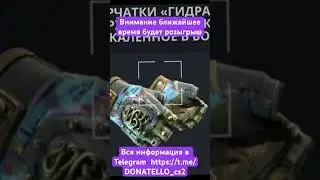 Мой Telegram каналы  DONATELLO_cs2 #cs #csgo #phonkagressive #shatskikh #ксго
