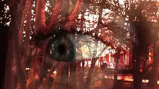 ✨ Phases and Phrases &mdash; A Surreal Experimental Short Film | Collaborative School Project