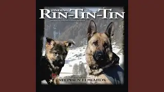Main Title