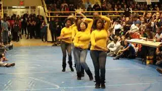 gamma chapter sigma gamma rho run 3 | ncat | stroll competition | 01/27/2011