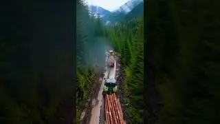 Massive Logging Tractors Conquering Muddy Forest Roads