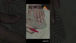 #DIYDRYLEAF🍂#diycrafts #handmadehomedecor