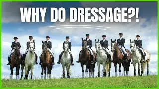 What's THE POINT OF DRESSAGE? From The Complete Online Dressage Course | How To Dressage