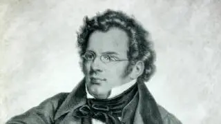 DER TEUFEL ALS HYDRAULICUS - D.4 - Schubert