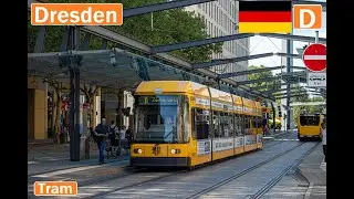 DRESDEN TRAMS / Straßenbahn Dresden 2024 [4K]