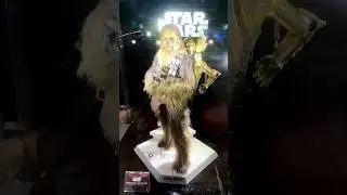 Hot Toys Star Wars Chewbaccat with Disassembled C-3PO #hottoys #chewbacca  #c3po