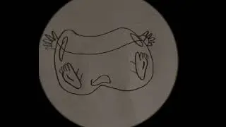 Zelda&rsquo;s Black Magic Inflation Audio Sequence.