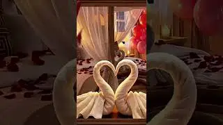 🌹Valentines Day Screensaver #tvscreensaver #tvart #valentinesday #valentinesdayart #datenight