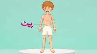 Parts of Body | Human body parts in Urdu | جسم کے حصوں کے نام