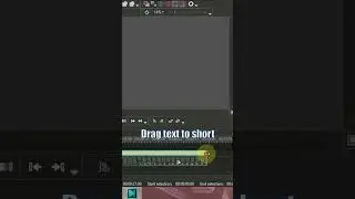 How to add text to the video in VSDC | #protechnix #vsdc #videoediting