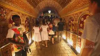 Scenic Road Trip Through Sri Lanka