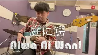 #庭に鰐 #加納智満(El.b)