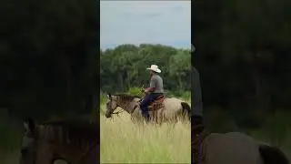 Victoria's Ranch in Okeechobee, FL | Julie Bettosini