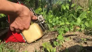 2-stroke w/ BOTH reeds and piston port, screamer