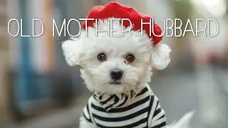 Old Mother Hubbard | AI Nursery Rhyme