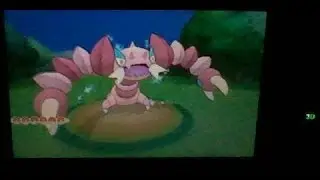 Случайная встреча с шайни-драпионом! (Pokemon Y) 100% подлинность!!