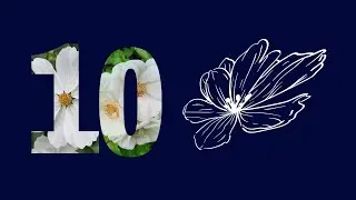 10 white flower photos / photos de fleurs blanches