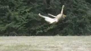 Dukes Epic Fail