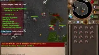 the best rs bot.wmv
