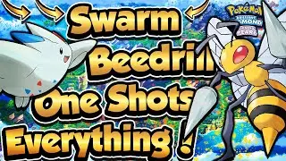 Swarm BEEDRILL Is THE STRONGEST BUG! - Pok&eacute;mon Brilliant Diamond & Shining Pearl Competitive Battles