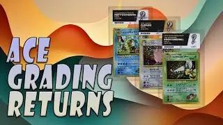 Ace Grading Returns |  Vintage Pokemon Card Collecting