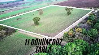 (360)  RESMİ YOLA CEPHE DÜZ TARLA GÖKÇESUOSMANPAZAR