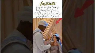 Reverted to Islam & Married Today🤍 | A Beautiful Nikah Moment #shorts #viralvideo #trending #wedding