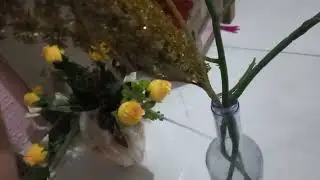 ENTRE FLORES E VASOS 💐🌿