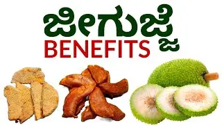 Health Benefits of Breadfruit | ಜೀಗುಜ್ಜೆ ಉಪಯೋಗ ಏನು | Hoysal Shetty Vlogs
