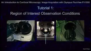 Tutorial 1: Region of Interest Observation Conditions