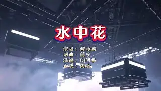 谭咏麟《水中花》DJ阿福 ProgHouse Rmx KTV 导唱字幕 （备有伴奏视频）