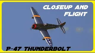 RC Plane Warbird P-47 Thunderbolt Closeup and flight