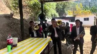 OJITOS NEGROS/ banda la consentida de Antequera 