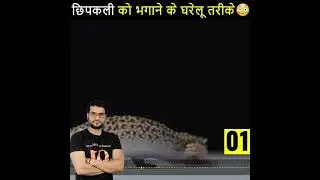 chipcally 🔥ko bhagane ke gharelu tarikhe 😱#shorts #by A2 moti... short