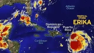Forecast: Tropical Storm Erika could hit Florida as hurricane