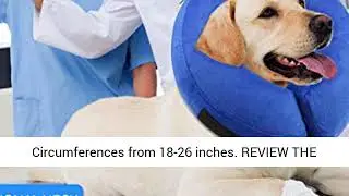 Rucal Pets Inflatable Dog Collar, Recovery Cone